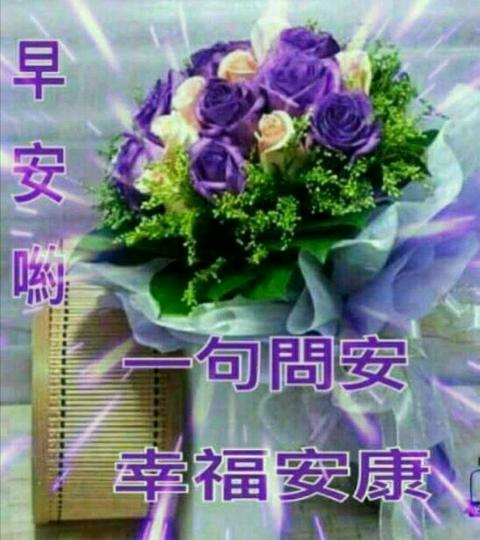 image%3A21240