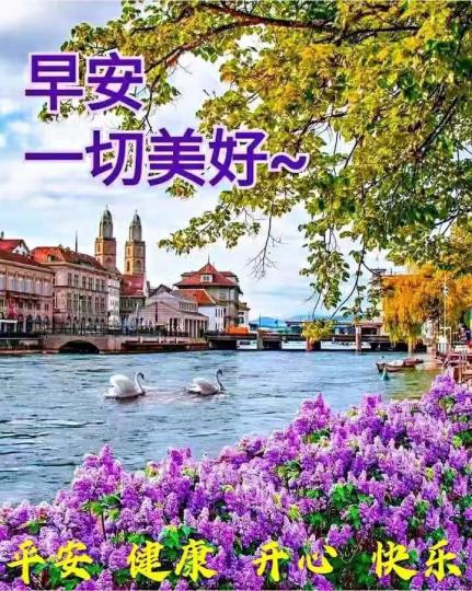 image%3A22029