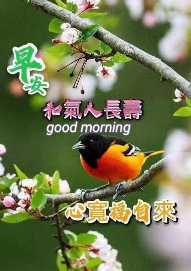 image%3A22072