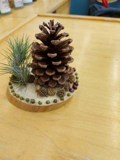 image%3A2258017_0