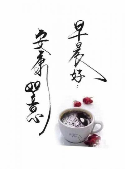 image%3A2262901_0