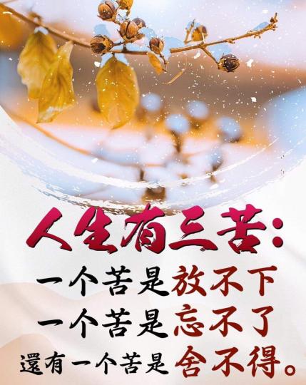image%3A24896