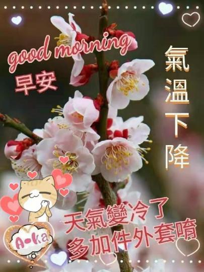image%3A25439