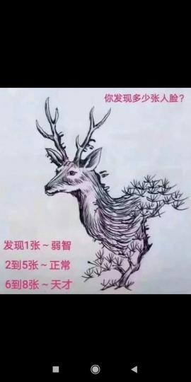image%3A25664_0