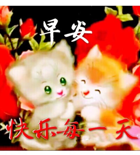 image%3A26563
