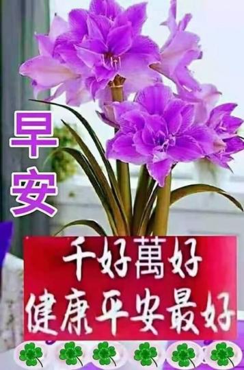 image%3A26742_2