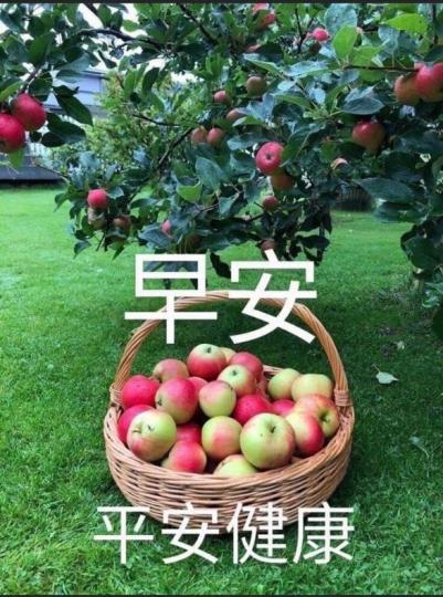 image%3A26874