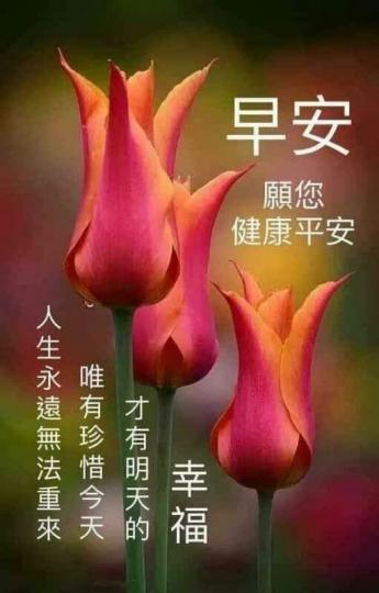 image%3A27370