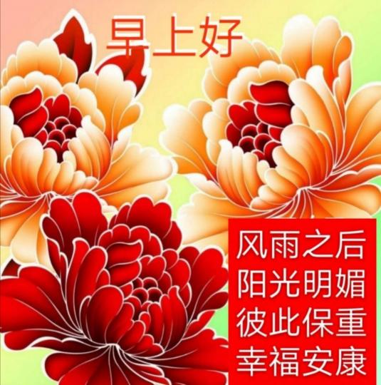 image%3A28880