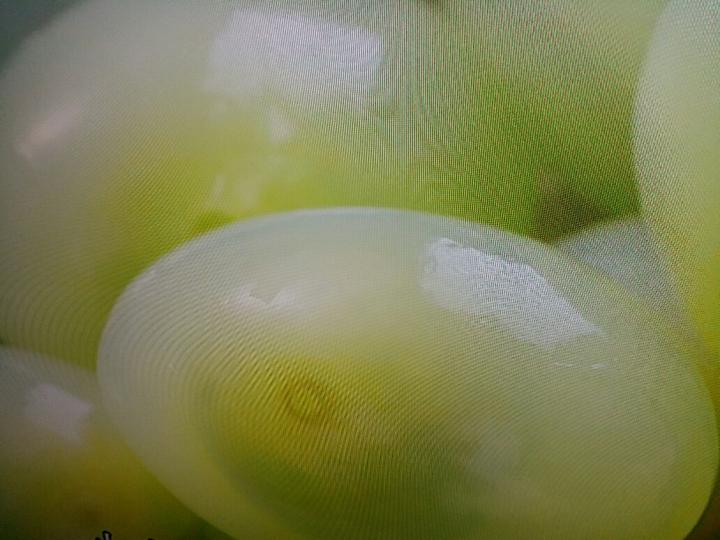 image%3A28967