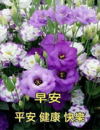 image%3A28991
