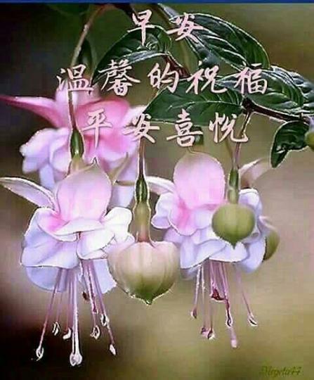 image%3A28992