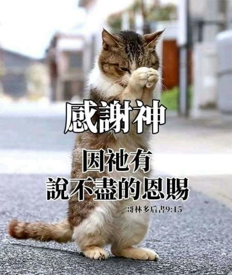 image%3A28994