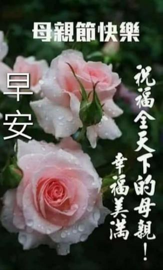 image%3A29481