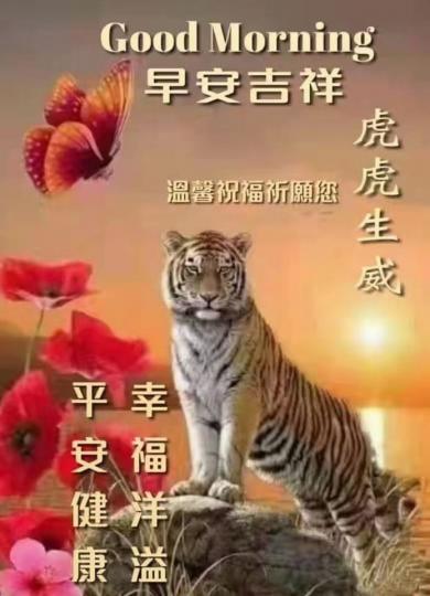 image%3A29596