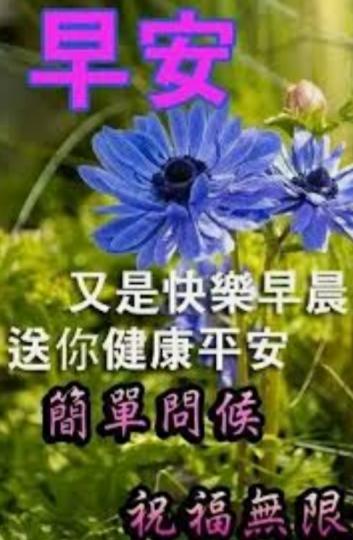 image%3A2985_2