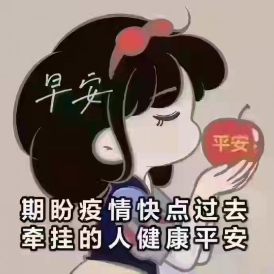 image%3A29911