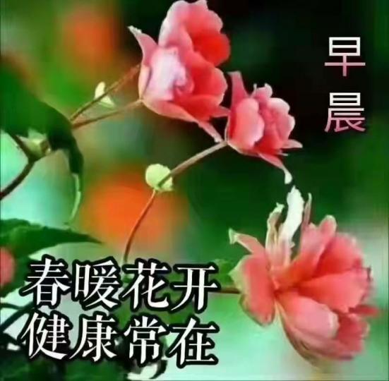 image%3A30230_0