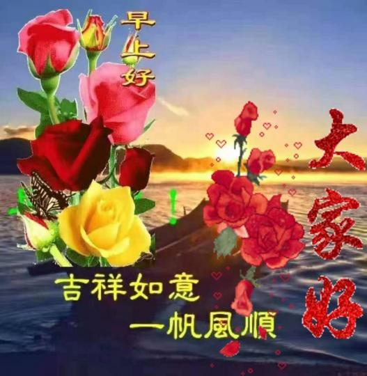 image%3A30262_0
