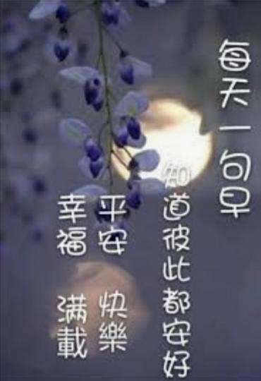 image%3A3053