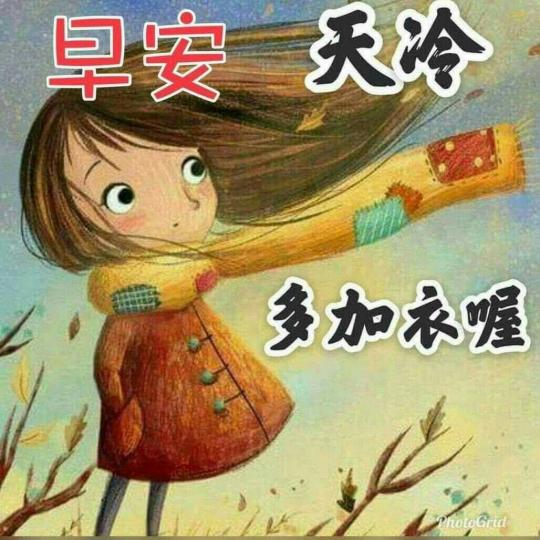 image%3A31050