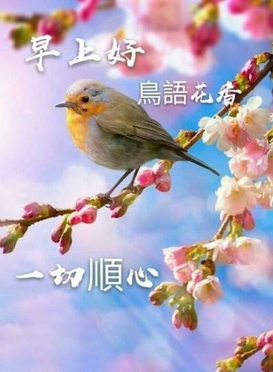 image%3A3109