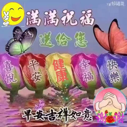 image%3A31169