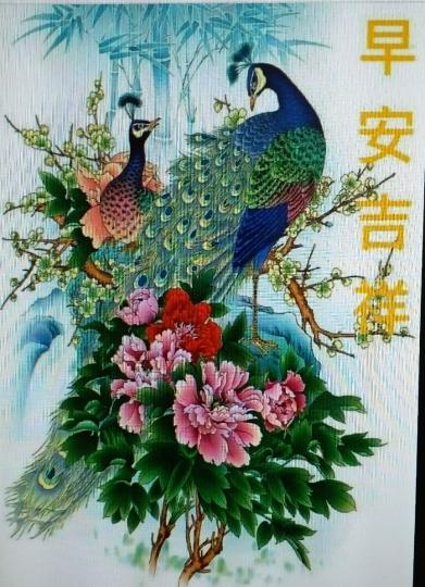 image%3A33584