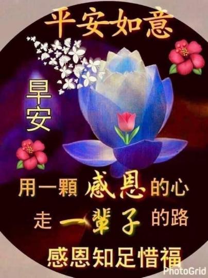 image%3A34493