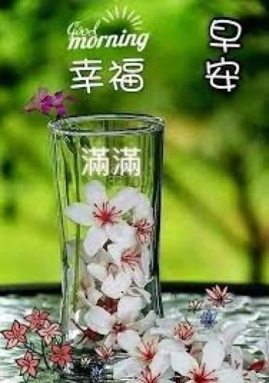 image%3A35975