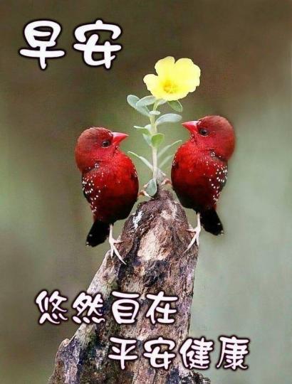 image%3A36730