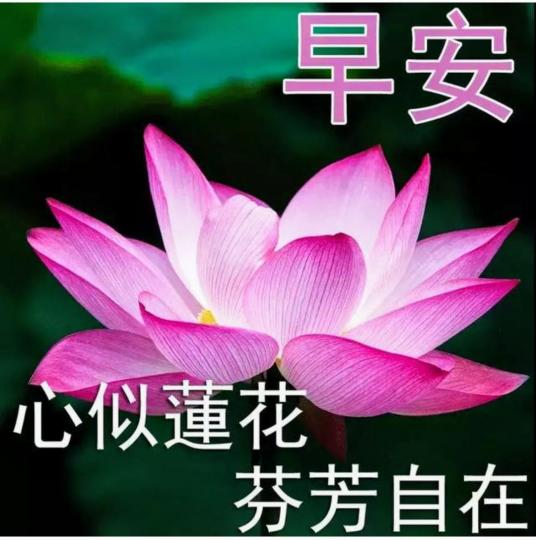 image%3A37318
