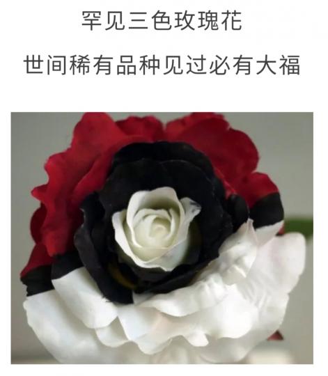 image%3A37525