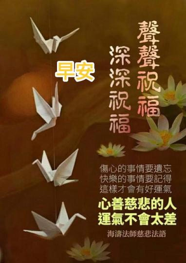 image%3A37531