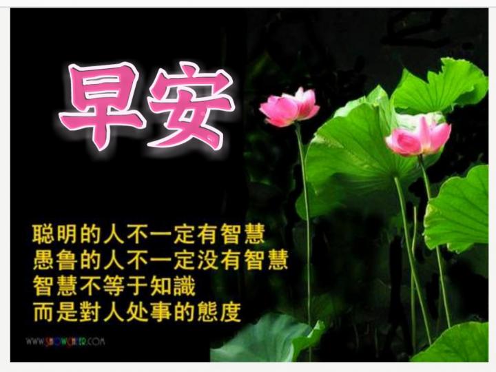 image%3A37817