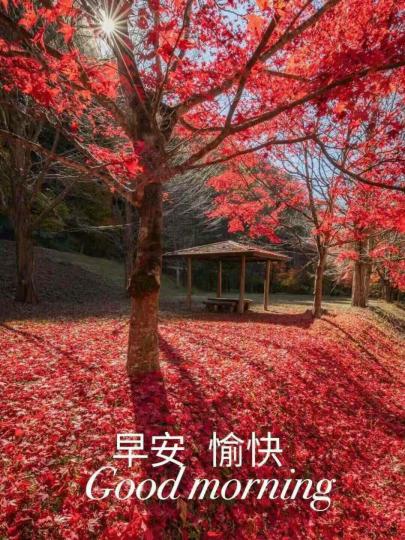 image%3A40097