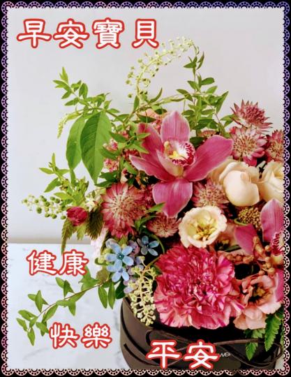 image%3A40712