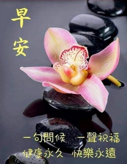 image%3A40947