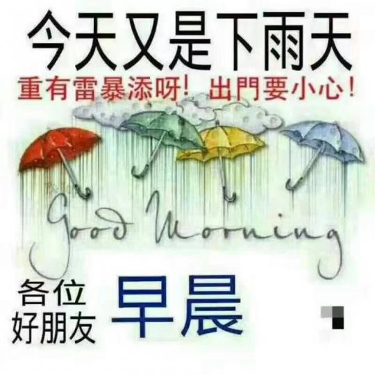 image%3A41050
