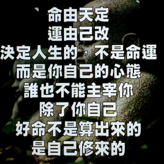 image%3A41079