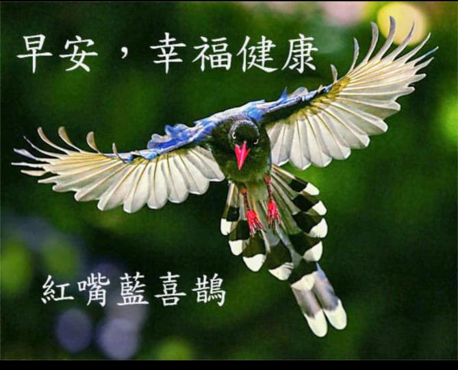 image%3A41192