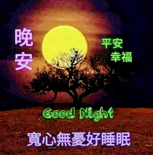 image%3A41252_1
