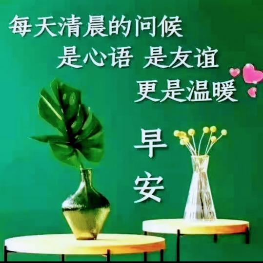 image%3A41622