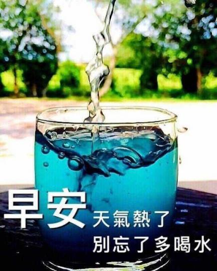 image%3A41801