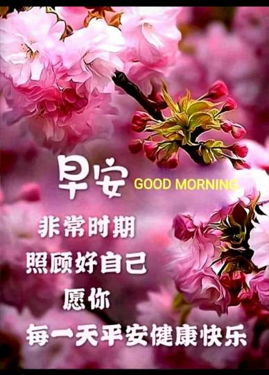 image%3A4220