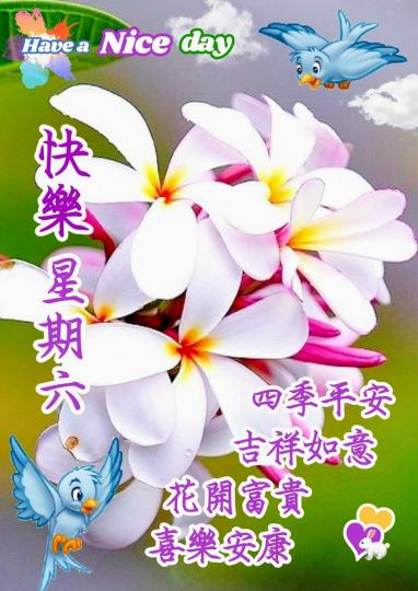 image%3A42472