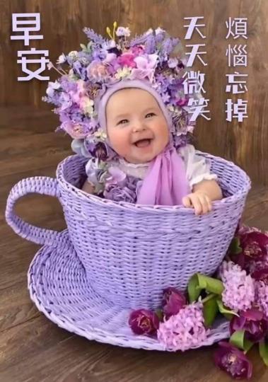 image%3A43023