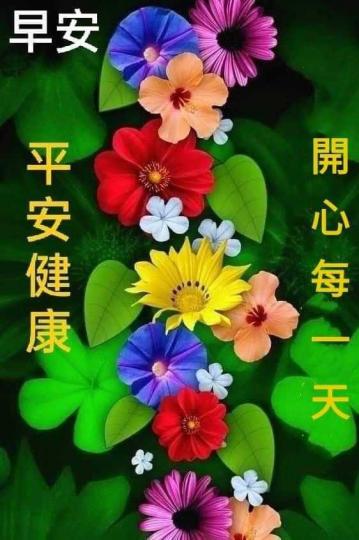 image%3A43606