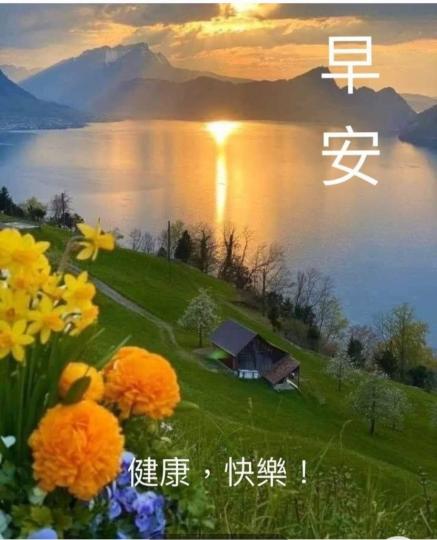 image%3A44436_0