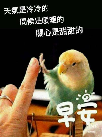 image%3A4463